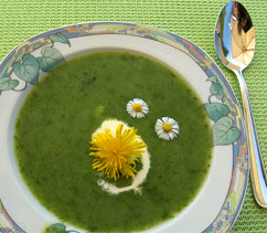 Teller mit grüner Suppe, Gänseblümchen schwimmen als Garnierung oben drauf