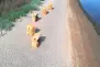 ... erreicht meine kleine Drohne schnell luftige Höhen ...