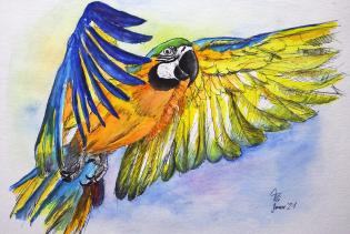 Aquarell: Fliegender Papagei