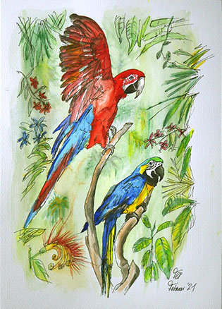 Aquarell: Zwei befreundete Ara-Papageien