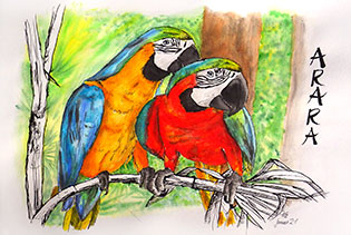 Aquarell: Zwei Ara-Papageien