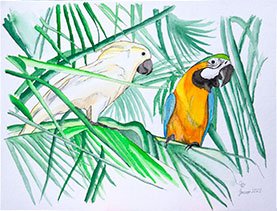 Aquarell: Kakadu und Gelbbrustara