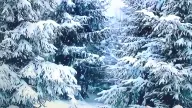 I Didn‘t Know It Was Christmastime I Didn‘t Know It Was Christmastime