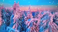 Winterland (Instrumental) Winterland (Instrumental)