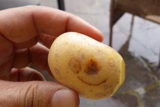 Kartoffel mit lachendem Gesicht