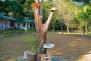 Praktisches Baumwaschbecken im Panka Bay Resort :-)