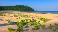 Ko Tarutao