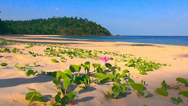 Ko Tarutao