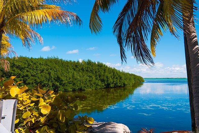 Die meist ruhige und flache Lagunenlandschaft der Keys erlaubt schönste Fotos.