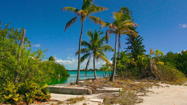 Lower Keys