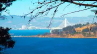 San Francisco Bay