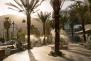 Kalter Sprühnebel in Palm Springs