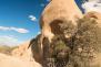 “Skull Rock” im Joshua Tree Nationalpark