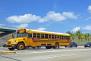 Ein sehr typischer Anblick auf Amerikas Straßen: US-Amerikanischer Schulbus