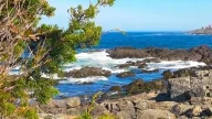 Kennebunkport