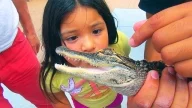 Miccosukee