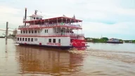 Savannah Savannah