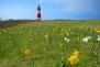 Der Leuchtturm “Sankaty lighthouse” an der Ostküste von Nantucket