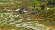 Sapa