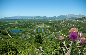 Gemüsefelder im Neretva Delta