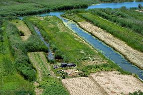 Gemüsefelder im Neretva Delta