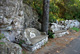 Auf Mljet