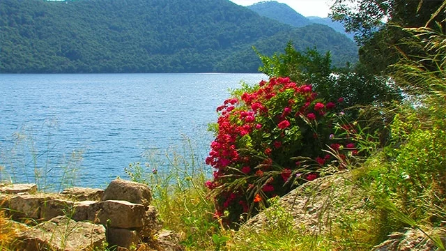 Polaće