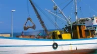 Susak