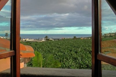 Blick aus einem Fenster Ã¼ber Bananenplanragen bis hin zum Meer