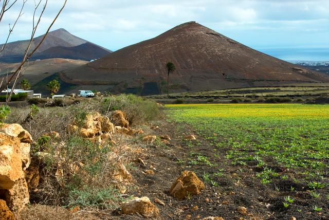 Vulkankegel auf Lanzarote