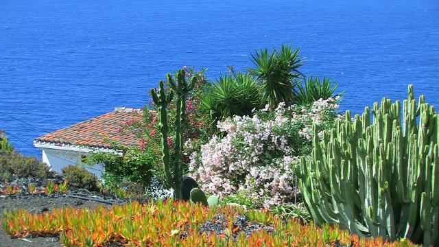 Das Tal El Golfo