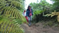 La Garajonay