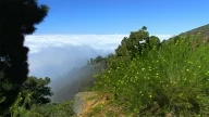 Roque de los Muchachos Roque de los Muchachos