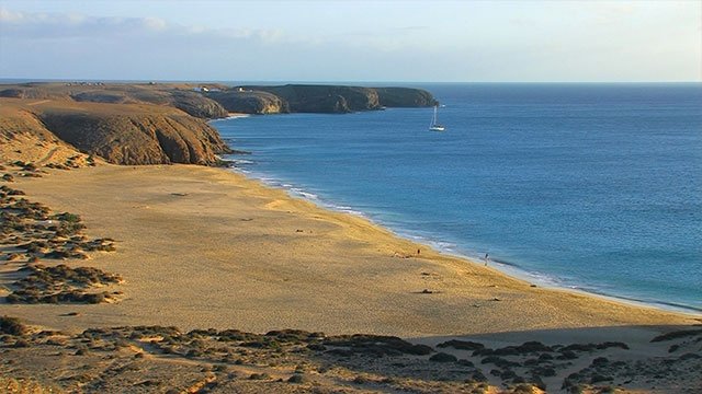 Papagayo