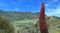 Teide