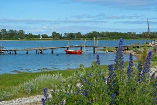 Holzsteg beim kleinen Hafen von Fyns Hoved