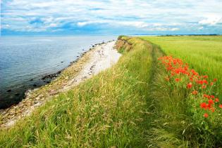 Blick über den kleinen Belt von einer grün bewachsenen Klippe aus, wo der Mohn rot blüht