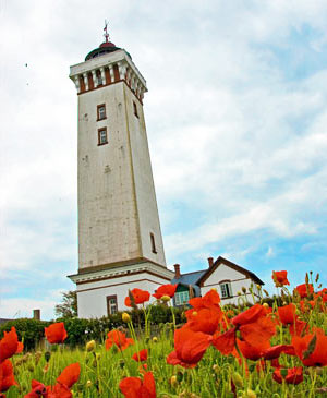 Leuchtturm mit quadratischem Grundriss und im Vorderfrund rot leuchtende Mohnblumen