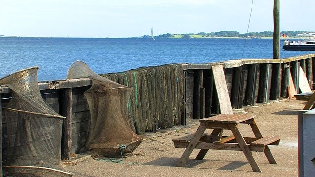 Dyreborg