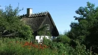 Lyø