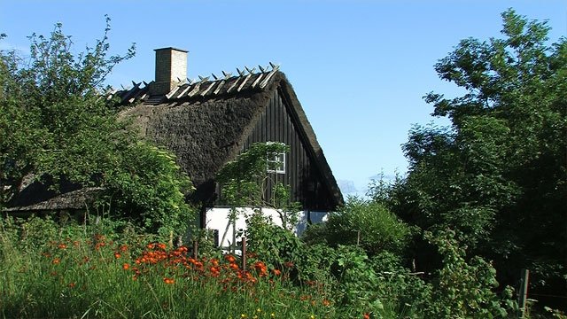 Lyø