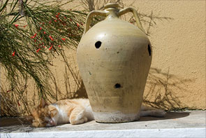 Katze liegt neben einer großen Tonvase