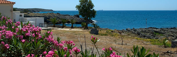 Orleander im Vordergrund, ein weißs Haus un das Meer im Hintergrund
