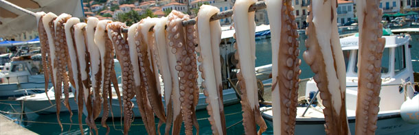 Tintenfische über eine Leine gehangen; im Hintergrund der Hafen von Gythio